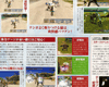 Scan 44