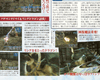 Scan 46