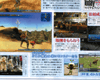 Scan 64